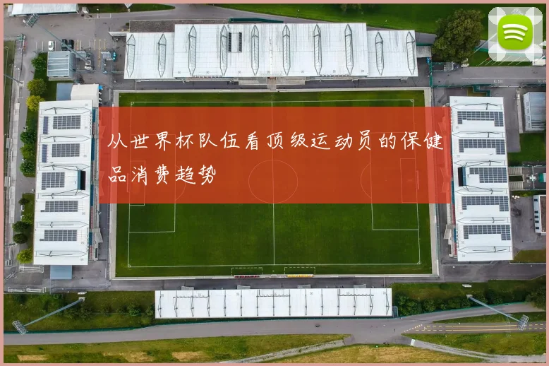 从世界杯队伍看顶级运动员的保健品消费趋势