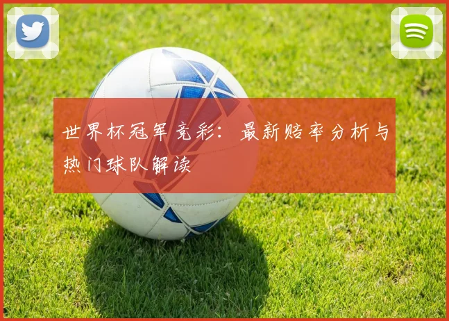 世界杯冠军竞彩：最新赔率分析与热门球队解读