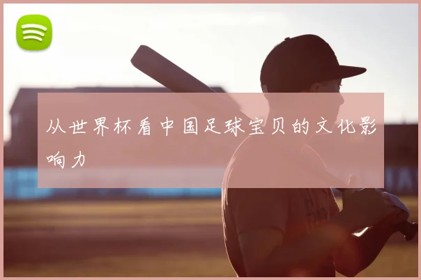 从世界杯看中国足球宝贝的文化影响力