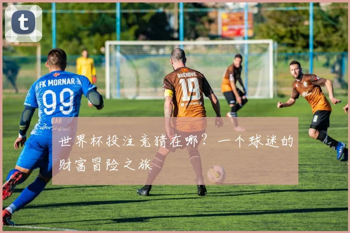 世界杯投注竞猜在哪？一个球迷的财富冒险之旅