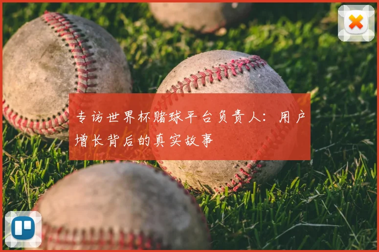 专访世界杯赌球平台负责人：用户增长背后的真实故事