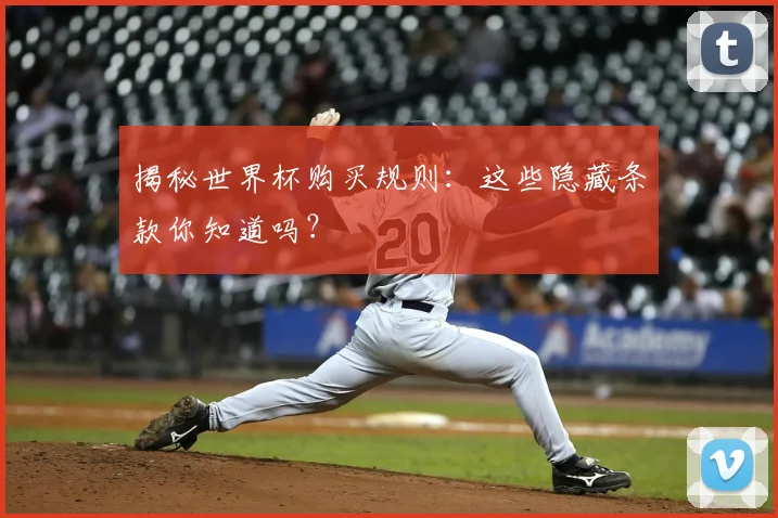 揭秘世界杯购买规则：这些隐藏条款你知道吗？