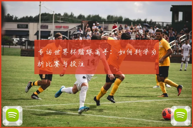 专访世界杯赌球高手：如何科学分析比赛与投注