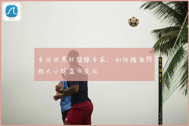 专访世界杯赌球专家:如何精准预测大小球盘口变化
