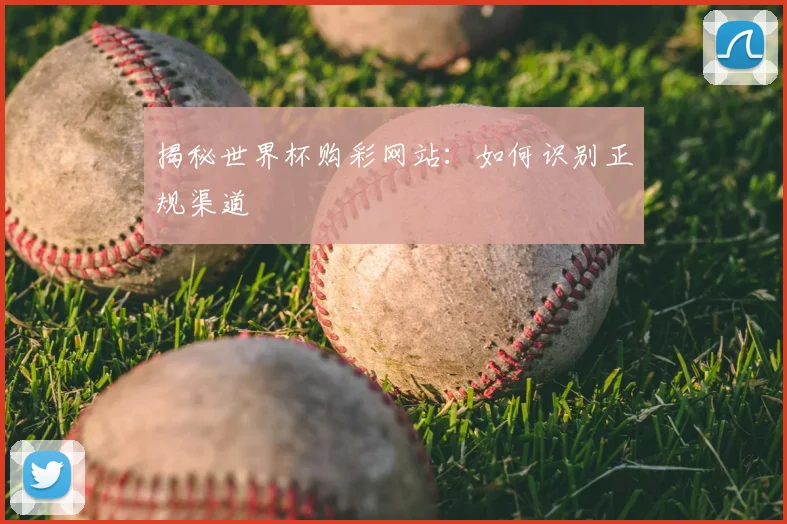 揭秘世界杯购彩网站：如何识别正规渠道