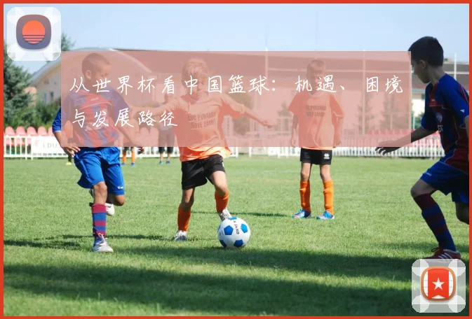 从世界杯看中国篮球:机遇、困境与发展路径