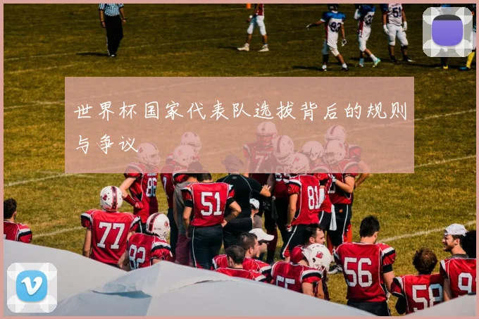 世界杯国家代表队选拔背后的规则与争议