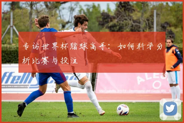 专访世界杯赌球高手：如何科学分析比赛与投注
