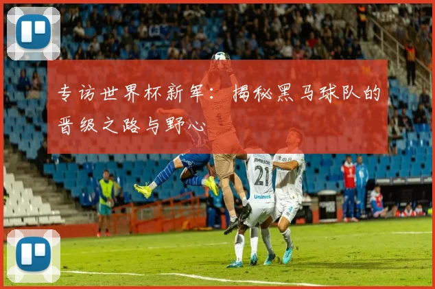 专访世界杯新军:揭秘黑马球队的晋级之路与野心