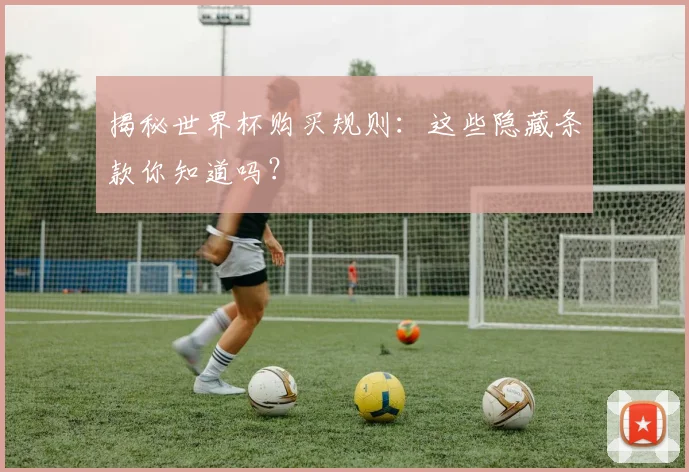 揭秘世界杯购买规则：这些隐藏条款你知道吗？